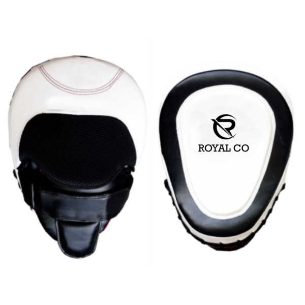 Professional Training Focus Mitts