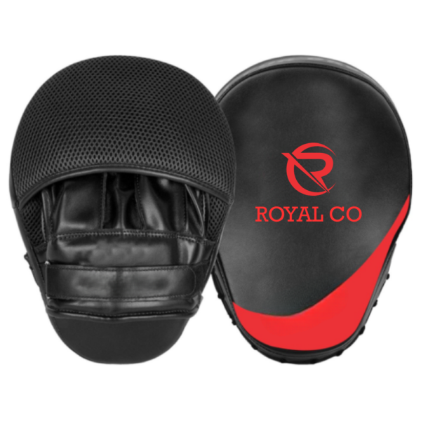 Training Focus Mitts